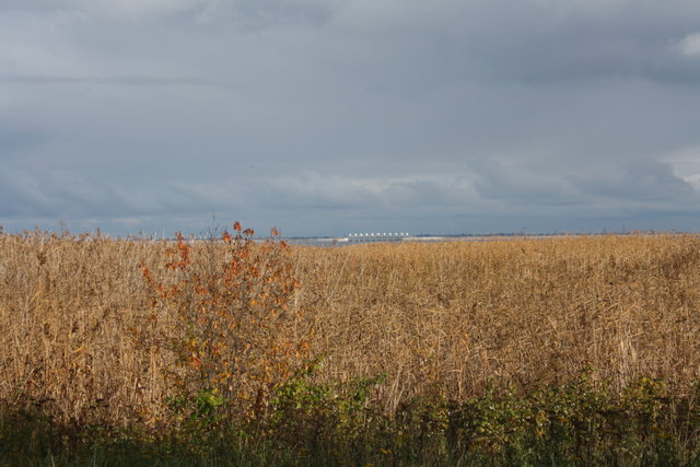 DPP_0048.JPG