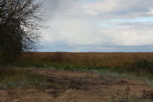 DPP_0045.JPG