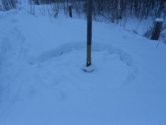DSCN1915.JPG