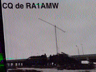 2013-03-31 113142 .jpg