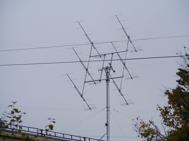 ant4.jpg