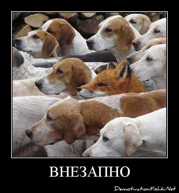 demotivator-0076.jpg
