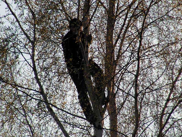 PICT0002.jpg