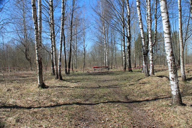 IMG_2191_for_site.png