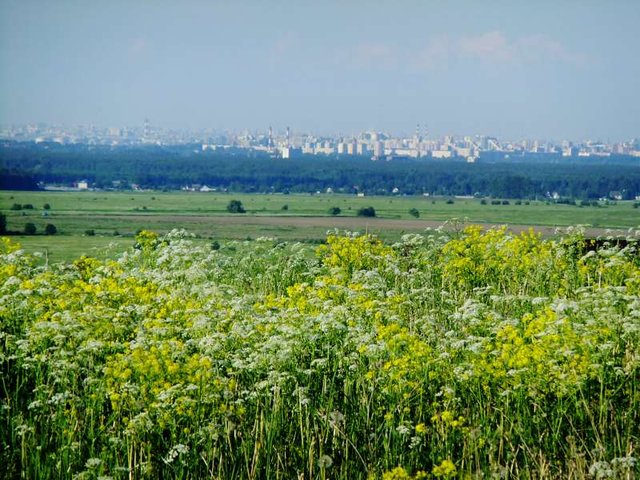 gora3.JPG