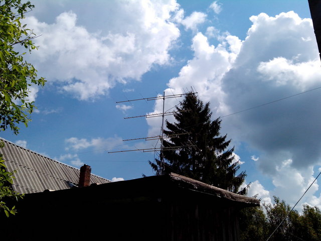 IMG_20130608_125559_.jpg