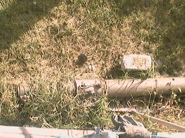DCAM0051.jpg
