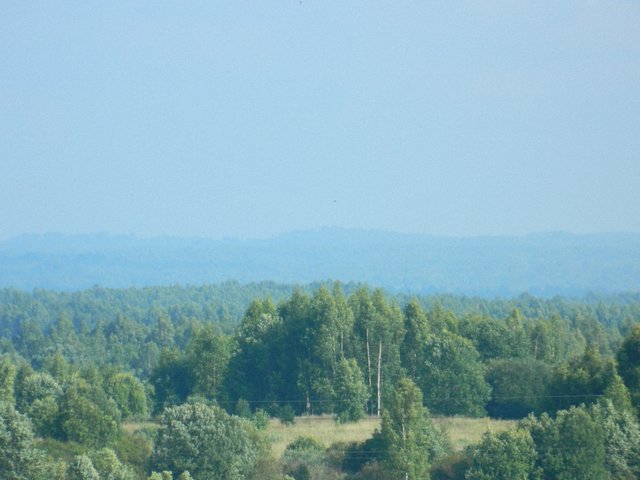 DSCN0369_1.jpg