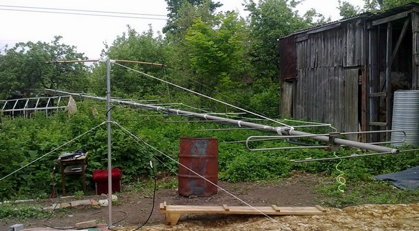 ant2.jpg