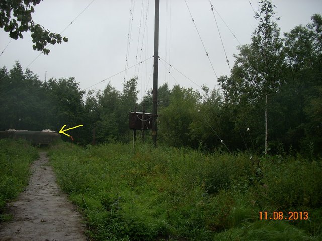 Дот.JPG