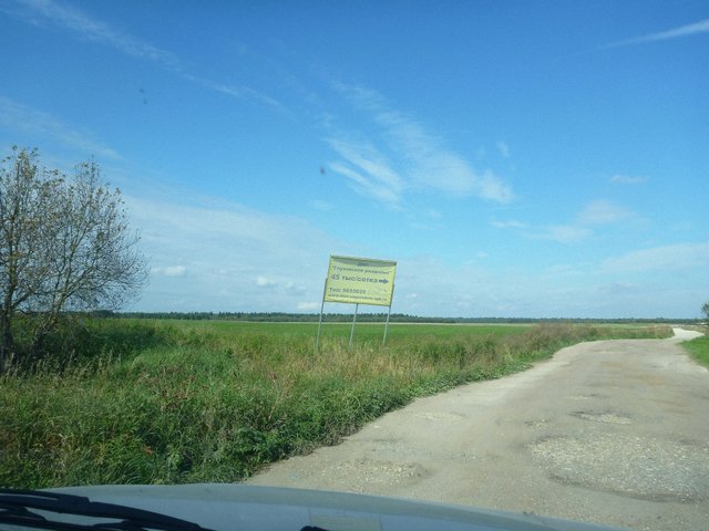 P1070872.jpg