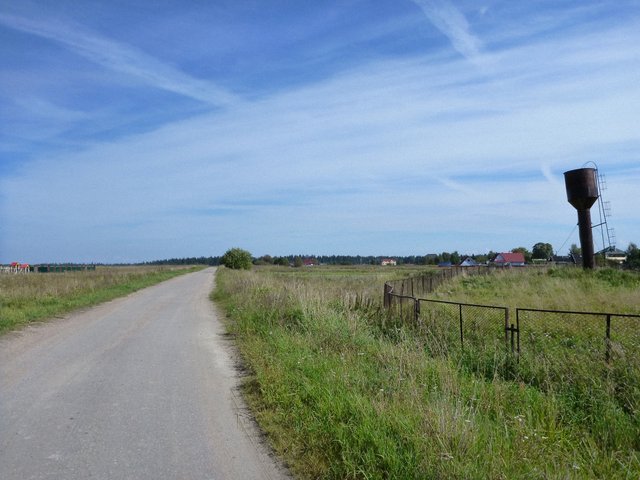 P1070874.jpg