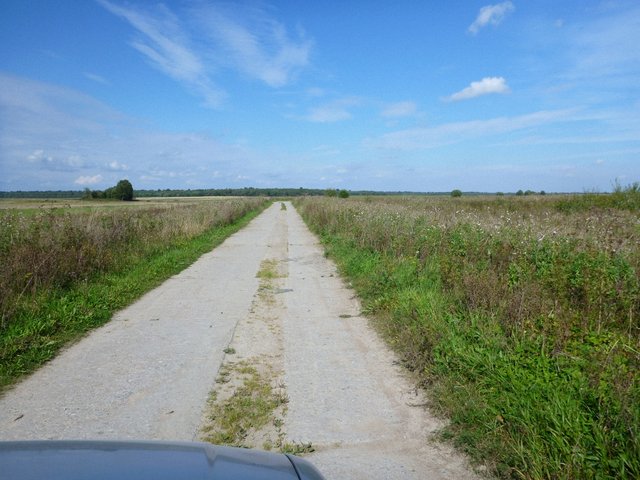 P1070876.jpg