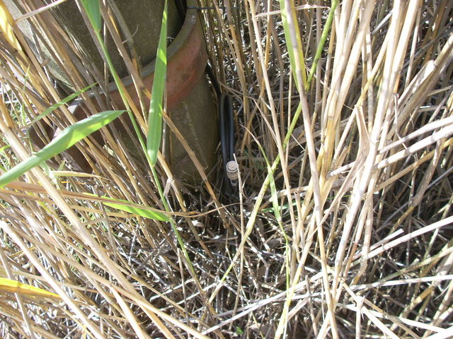 Разьем 50 ом..JPG