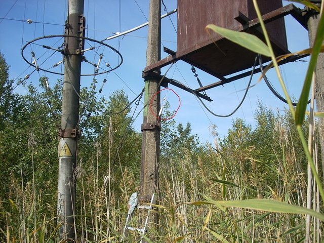 Общий вид.JPG