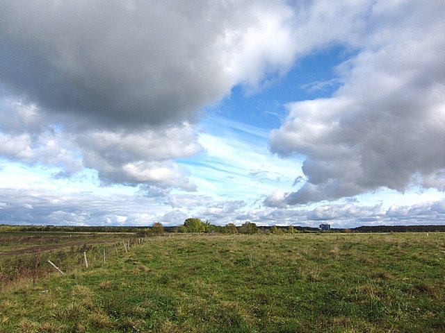 02.JPG