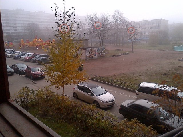 Sankt-Peterburg-20131022-00723.jpg