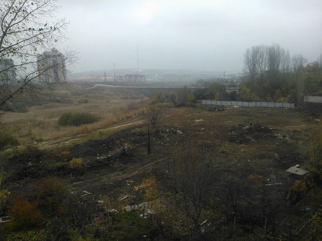 WP_000031.jpg