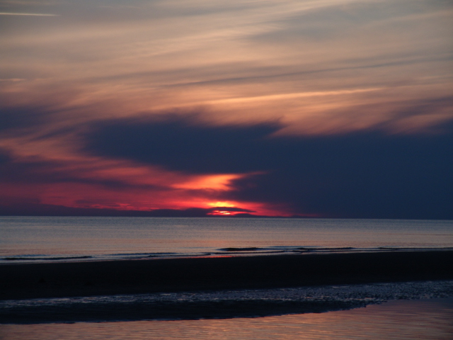 DSC07229.JPG