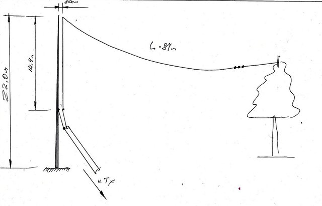 IMG.jpg