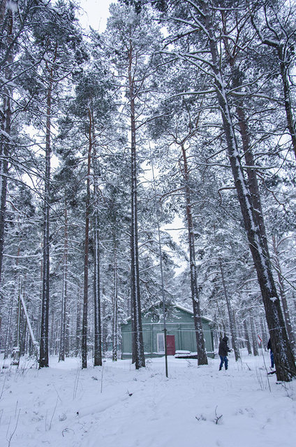 DSC_3027.jpg