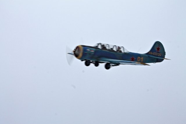 2947_1.jpg