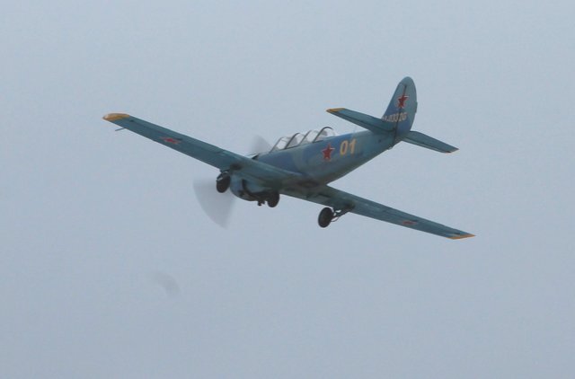 2944.jpg