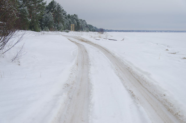 DSC_3411.jpg