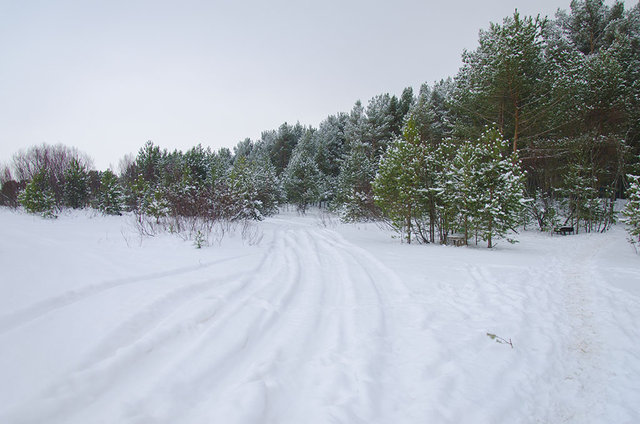 DSC_3416.jpg