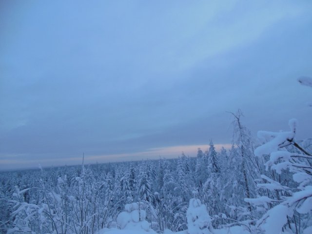DSCN0295.jpg