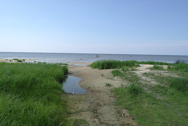 DSC00417.jpg