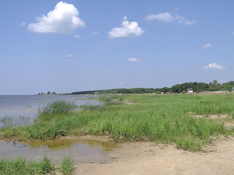 DSC00436.jpg