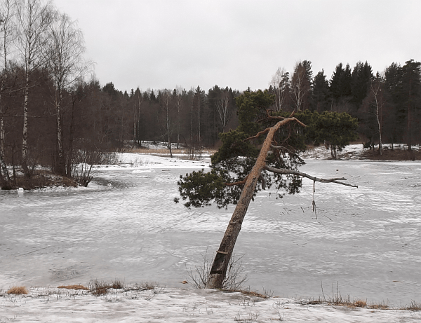 DSCF0047.gif