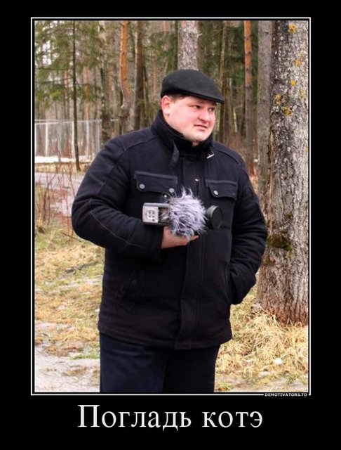 kote.jpg