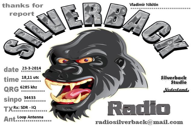 QSL Radio Silverback (7).jpg
