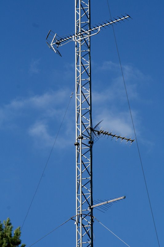 10.JPG