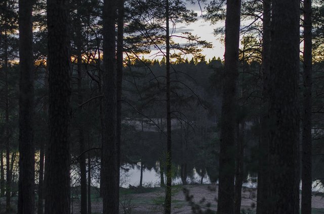 DSC_4547.jpg