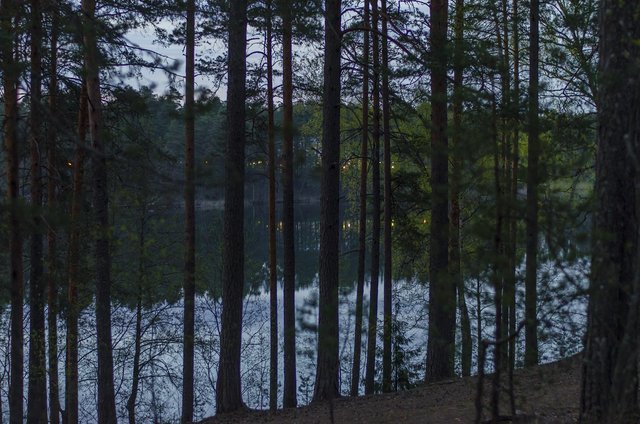 DSC_4548.jpg