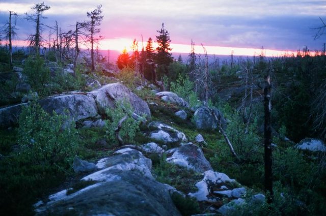 20660017_782x519.jpg