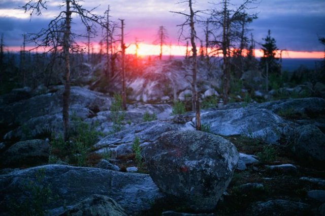 20660036_782x519.jpg