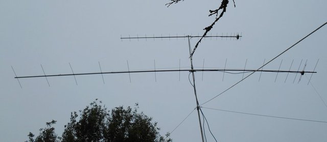 DSCN1262.jpg
