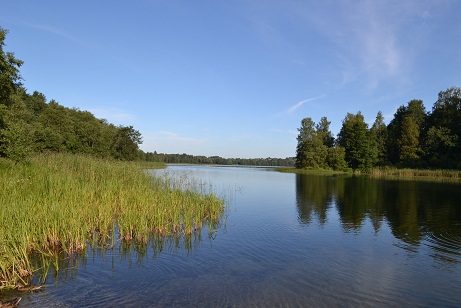 DSC_0582.JPG