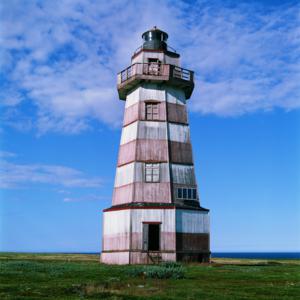Navalis_21_web_300x300.jpg