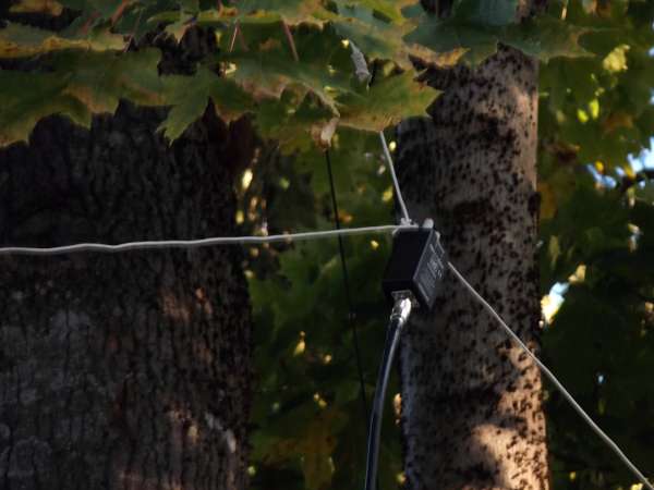 BALUN.JPG