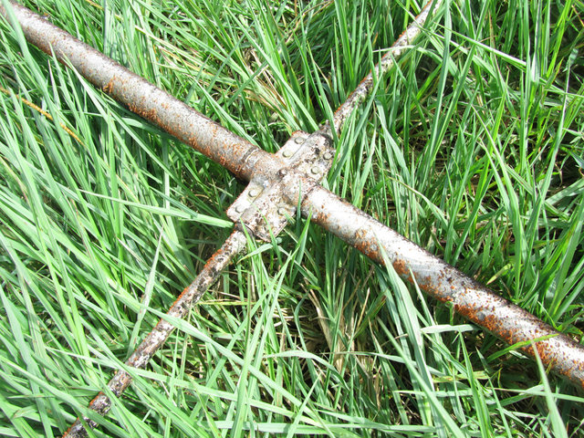 ANT.jpg