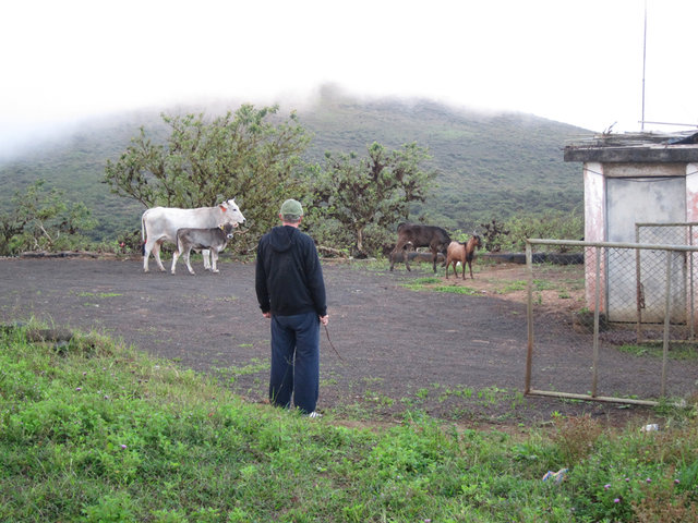 UA1ANA Пастух.jpg