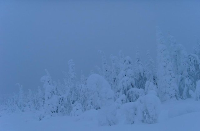 S73R0841_978x645.jpg