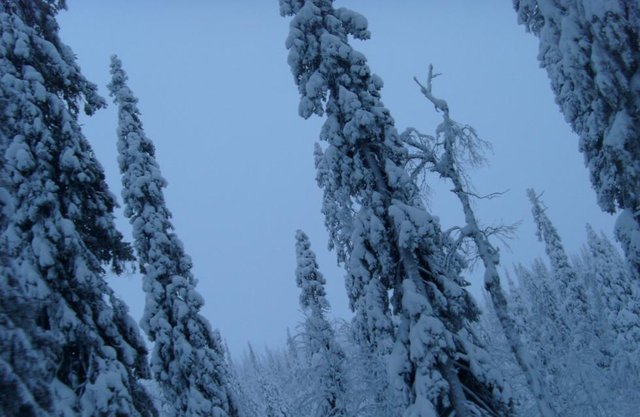 S73R0829_980x638.jpg