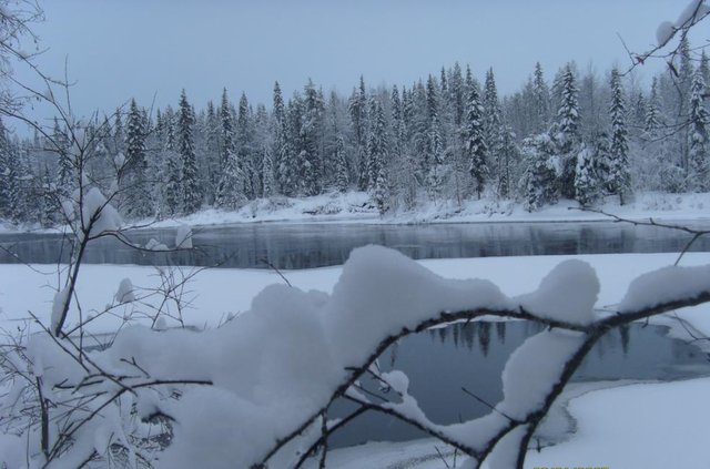 S73R0913_983x650.jpg