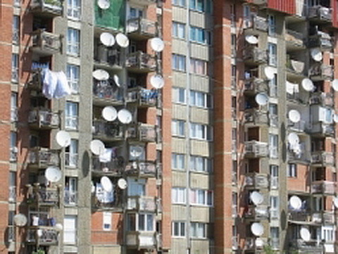 a501.jpg
